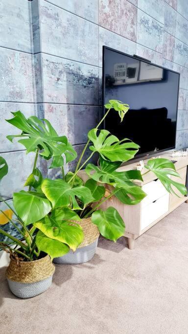 Stylish 2 Bedroom Apartment / Free Gated Parking Glasgow Luaran gambar